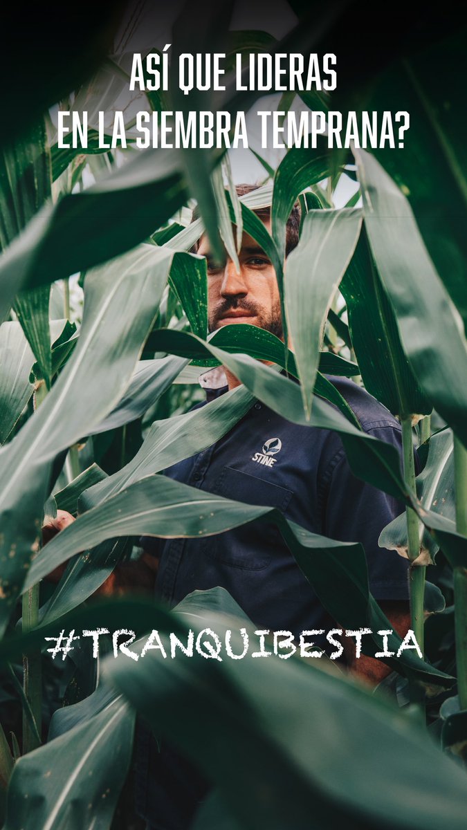 Así que lideras en la siembra temprana?
#TranquiBestia