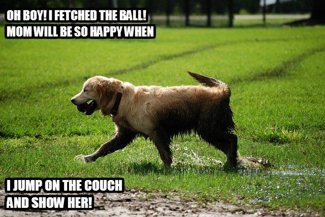 Need some help cleaning your furniture?

We can help!!

Give us a call today!