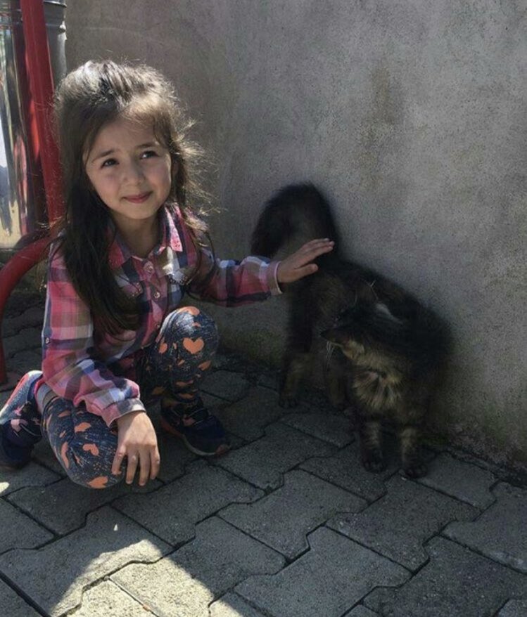 Çocukları koruyamıyoruz, hayvanları koruyamıyoruz, kadınları koruyamıyoruz, ağaçları koruyamıyoruz. Cehennemi bu dünyada yaşıyoruz.

#ikranur