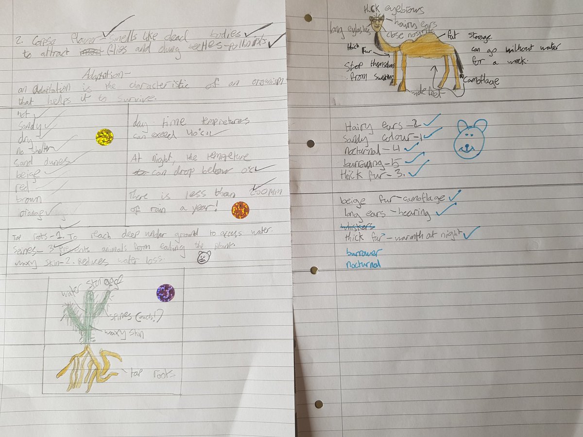 lizlilly71's tweet photo. @ToftwoodFedera1 Phoebe really enjoyed today's lesson on adaption from the Oak National Academy. She wanted to thank the Oak National Academy for the lesson and to the year 4 team too. She particularly liked Miss Simkin's dog, Charlie, at the end! #LearnWithOak #ONAscience https://t.co/1uH9wcdOHF