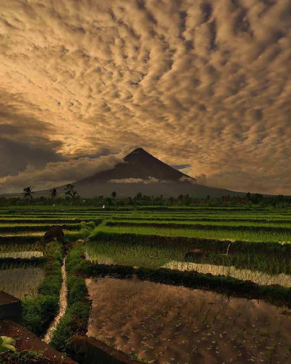 Dhon_Mariscotes's tweet photo. Mayon 
#albay https://t.co/5cD2PqMGVI