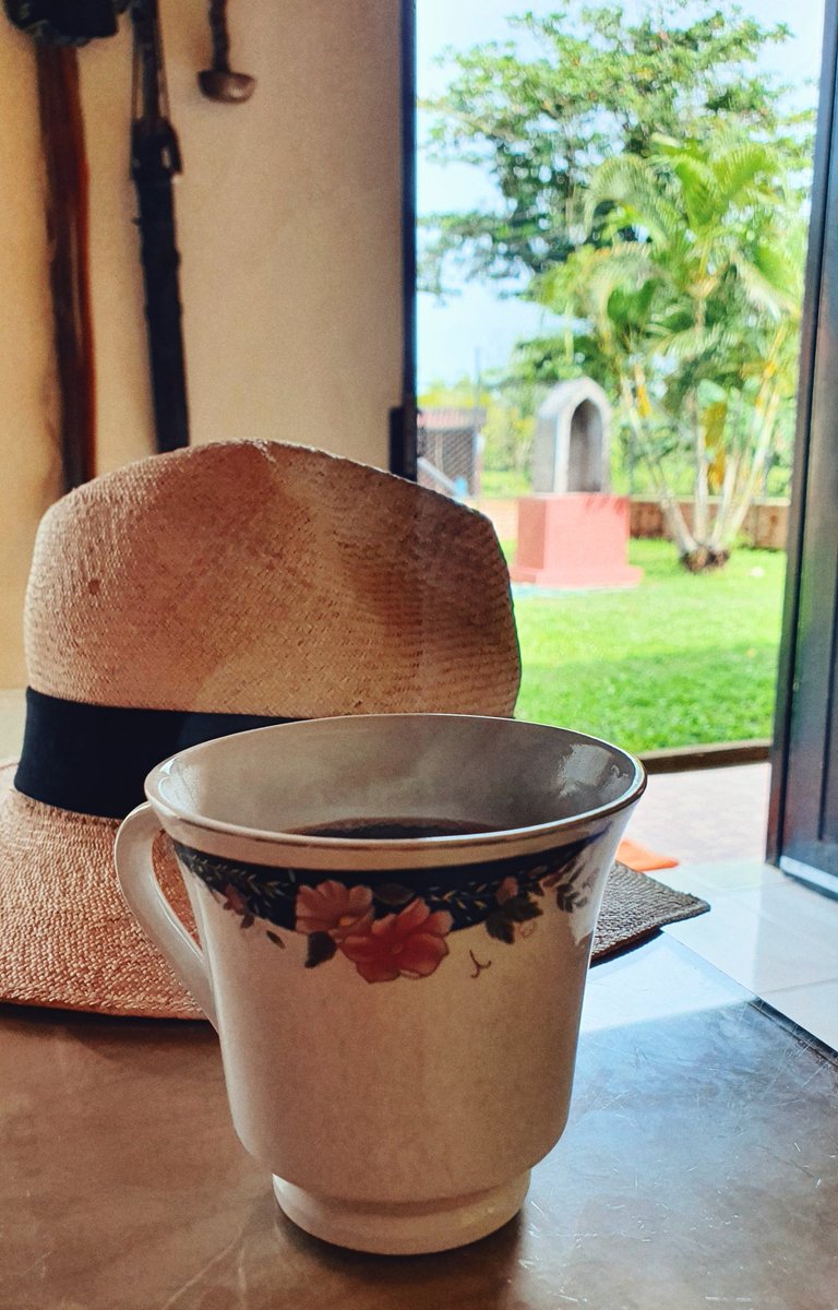 ForeroIvanna's tweet photo. El llano parientico🤠 https://t.co/mxRXg4pGpu