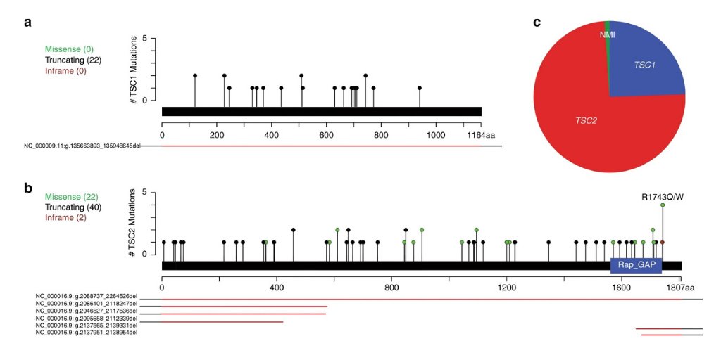 GIMJournal's tweet photo. TSC2 variants in infants with #TuberousSclerosis complex portend more severe disease than TSC1 variants https://t.co/w9MPrJtQd7 #TSComplex https://t.co/8n62RmeQoO