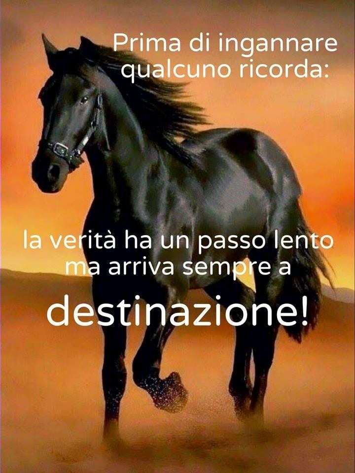 domenico_sole's tweet photo. https://t.co/h6tB12mZlN