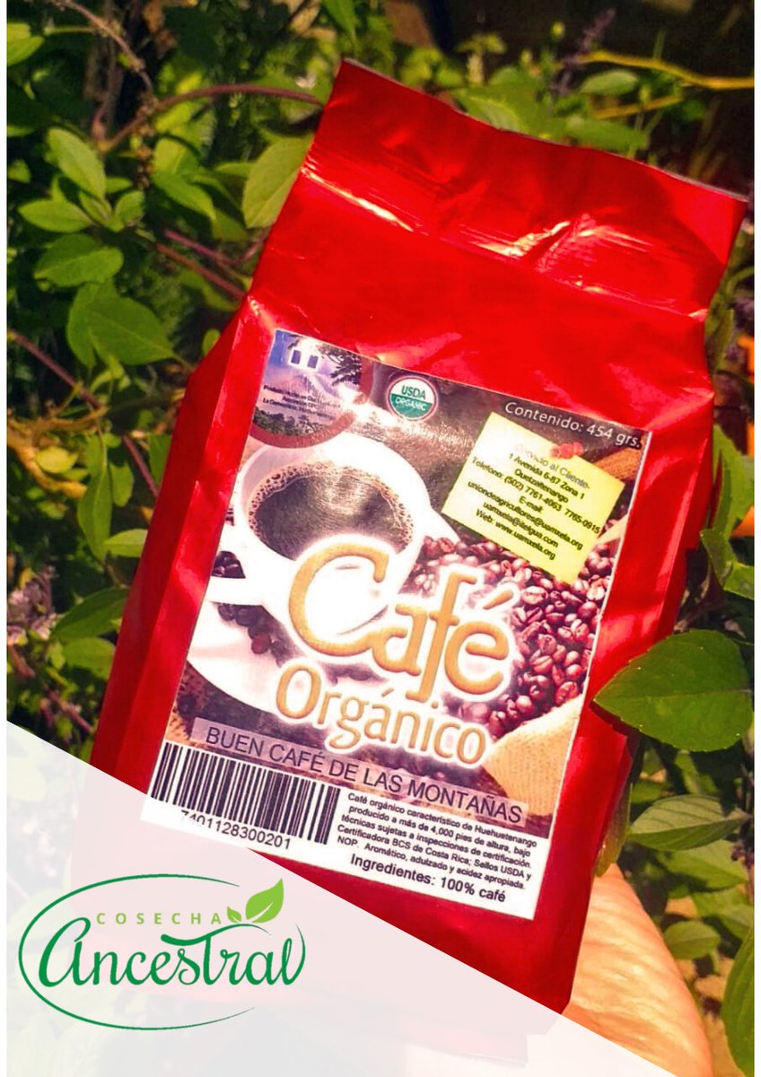 CosechAncestral's tweet photo. Buenos días amig@s!!! 
Recuerden Café Orgánico de Huehuetenango☕ sin agroquímicos y amigable con el medio ambiente🌱🌱
Haz tu pedido +502 4196-3501

Cosecha Ancestral un estilo de vida orgánico 🌱♻💪 https://t.co/AcG2ZNfnbb