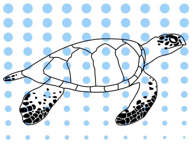 I like to also make  #purpose-driven art. One matter deeply important to me is  #planetary health . Depicted here is the Hawksbill  #turtle, a critically endangered species. The 100 dots decrease in size by 80% reflecting an 80% decline in population size over the last century