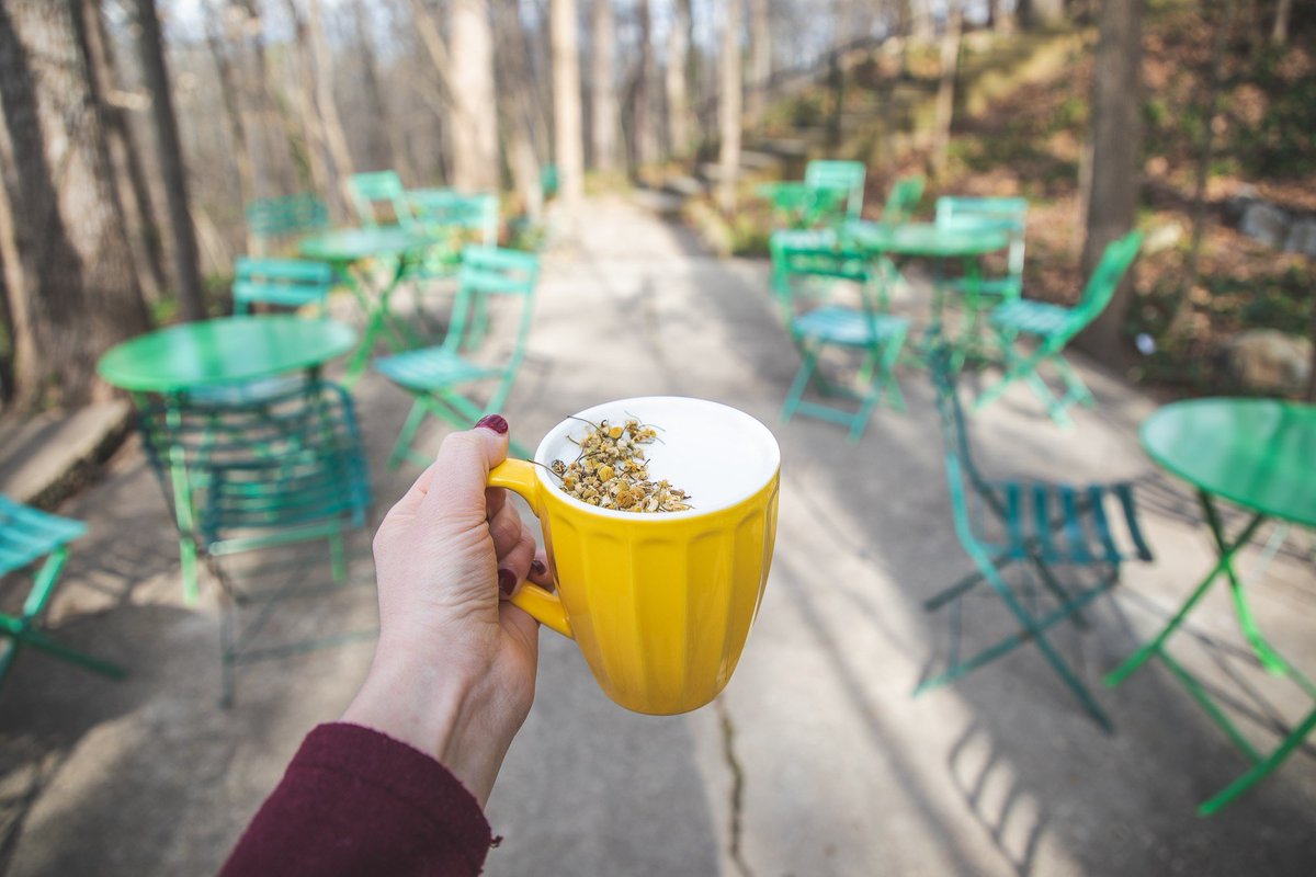 CarolinaChamber's tweet photo. Let’s raise a mug to @CarrboroCoffee, today’s #DailyBEA and Mid-Size Biz of the Year finalist. Cheers! ☕️🥂☕️

CCR’s Caffe Driade celebrates its 25th birthday while Open Eye Cafe celebrates its 21st. The shops, plus CCR’s 7,000 SF wholesale operation, employ dozens of folks! https://t.co/AbQdIV5Ehv