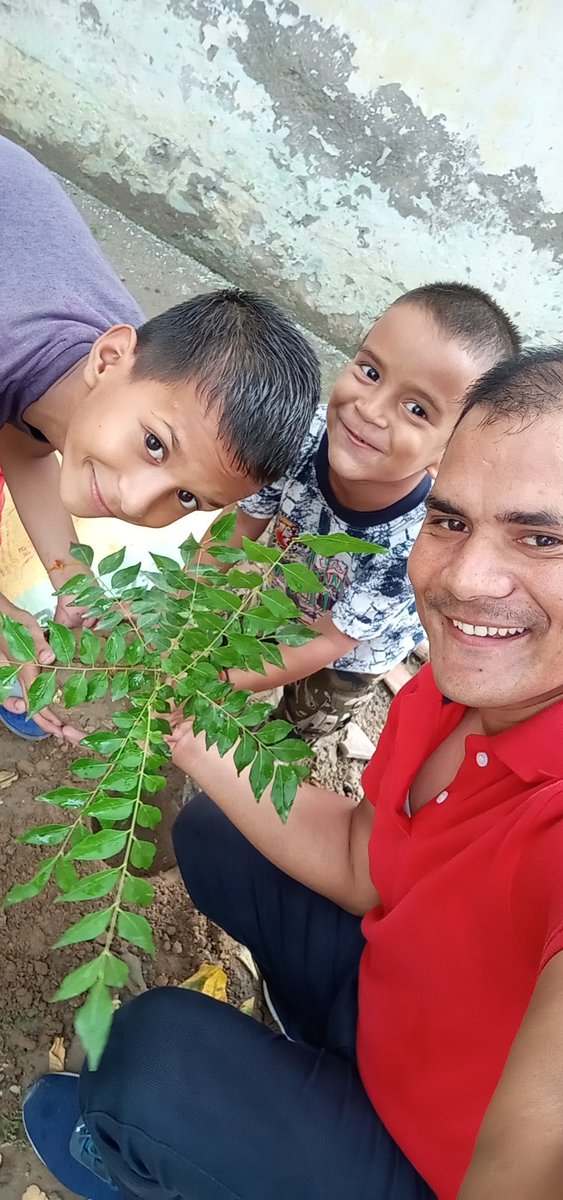 Kataksh__'s tweet image. Last year #PaviloveBisht Birthday Celebration with #EachOnePlantOne at my Home 🏡
#CurryTree 🌿
#कड़ीपत्ता 🌿
#मीठा_नीम 🌿