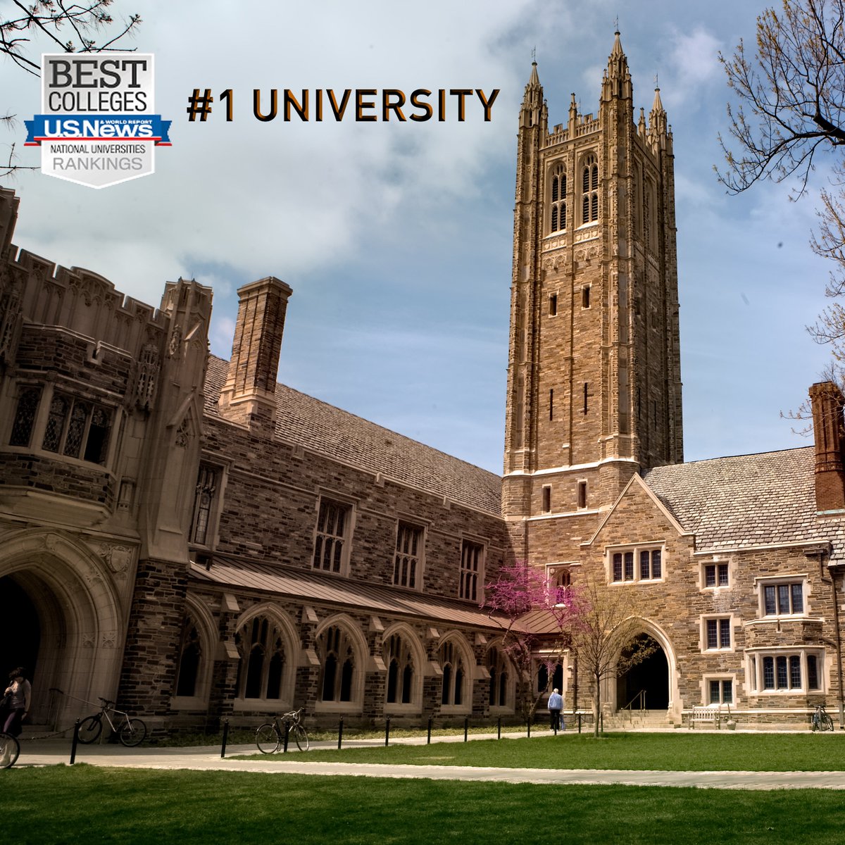 Princeton Wrestling tweet media