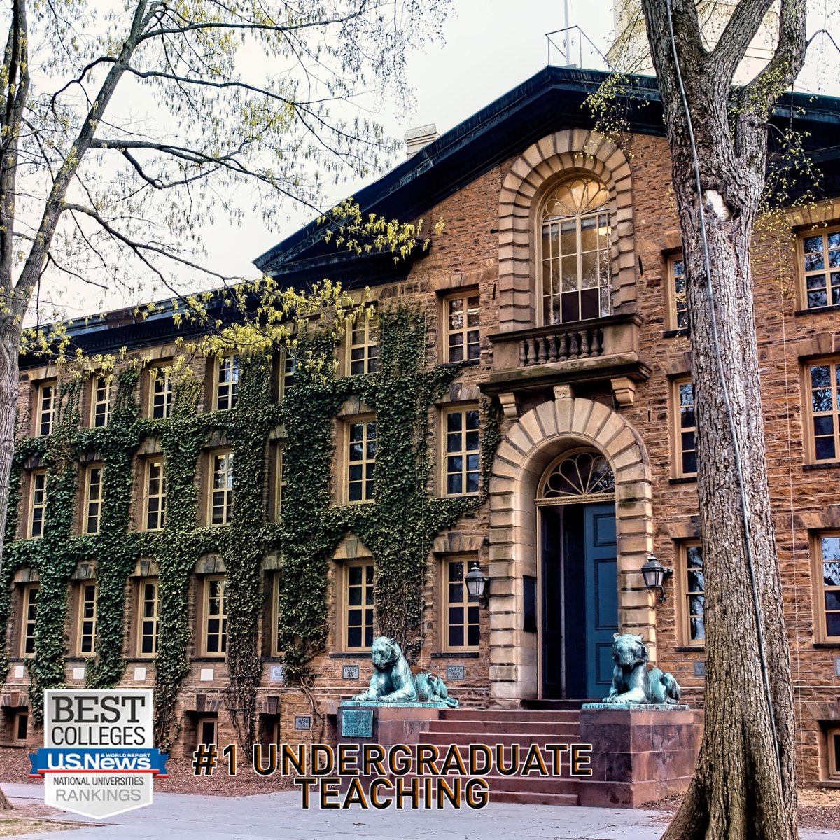 Princeton Wrestling tweet media