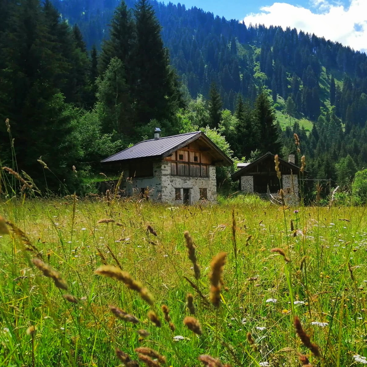 Passeggiando tra verdi #prati, ammirando scorci così: che bella sensazione di #benessere e di #libertà! 😍

#viaggioinitalia
#visittrentino
#trentinowow