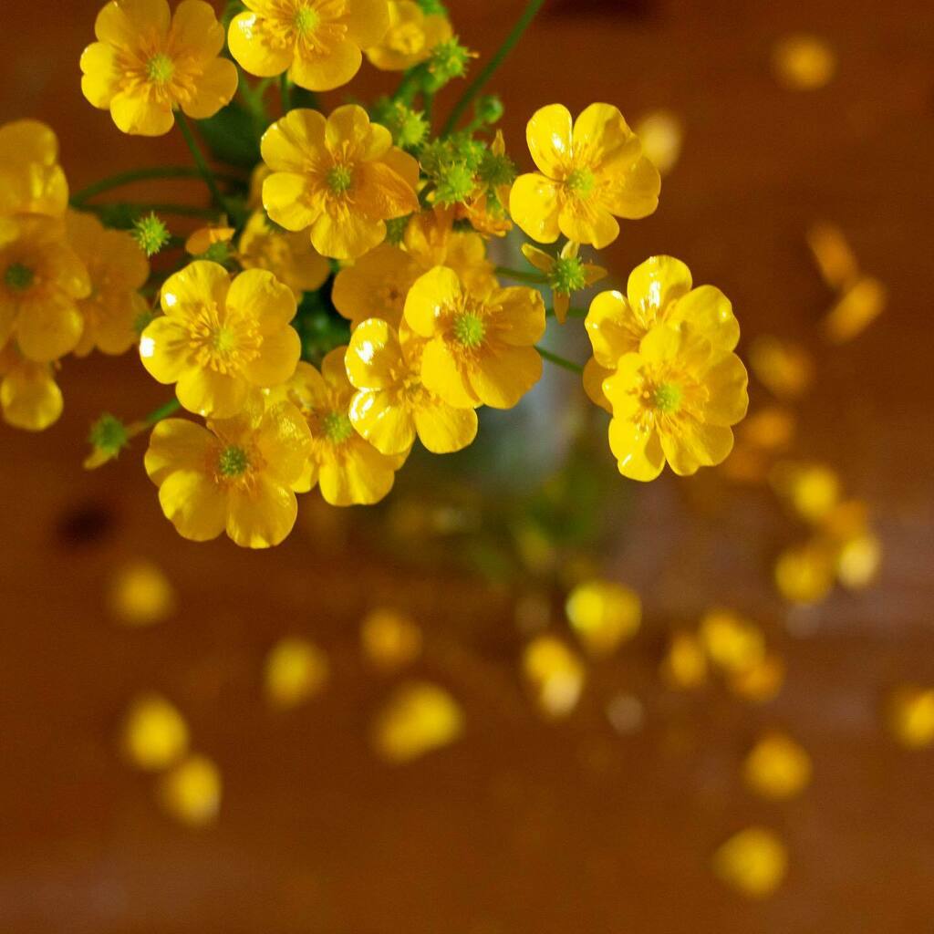 Lakeside Community Church tweet media