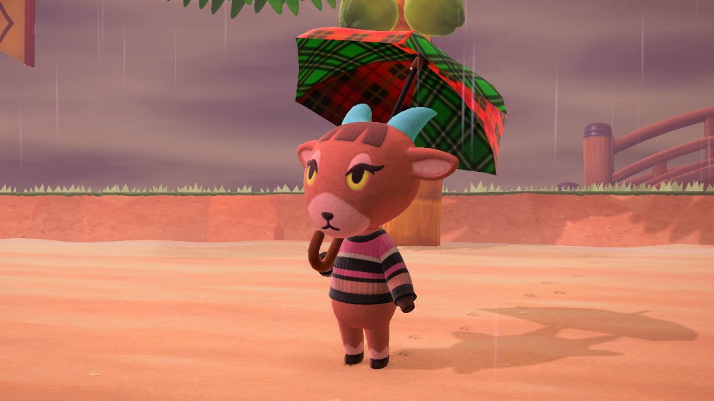 she silly (and protected from the rain!)