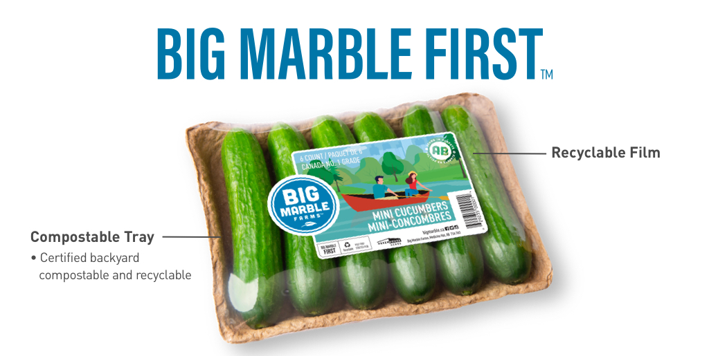 BigMarbleFarms's tweet photo. #Bigmarble crunchy #minicucumbers have always been one of our most popular products. But they are even more popular now that we are packing them on our #BigMarbleFirst sustainable pulp trays. Thanks for all the positive feedback. Please continue to let us know how we are doing! https://t.co/c1cgoB8KQo