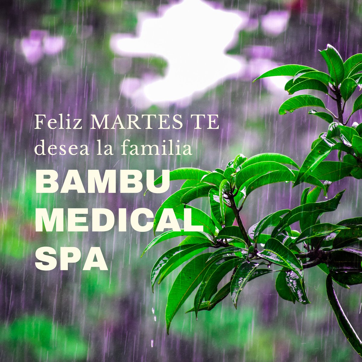 BambuMedicalSpa's tweet photo. Una actividad positiva hace tu día mejor. Somos #pymes 
#apoyoalaspymes #Chile 
#COVID19 #Twitter #Valdiviacl 
#MARTES #junio #ventas
@BambuMedicalSpa @PYMESrevista @pymesyemprende 
@valdiviacl https://t.co/CCiiYdTHxs