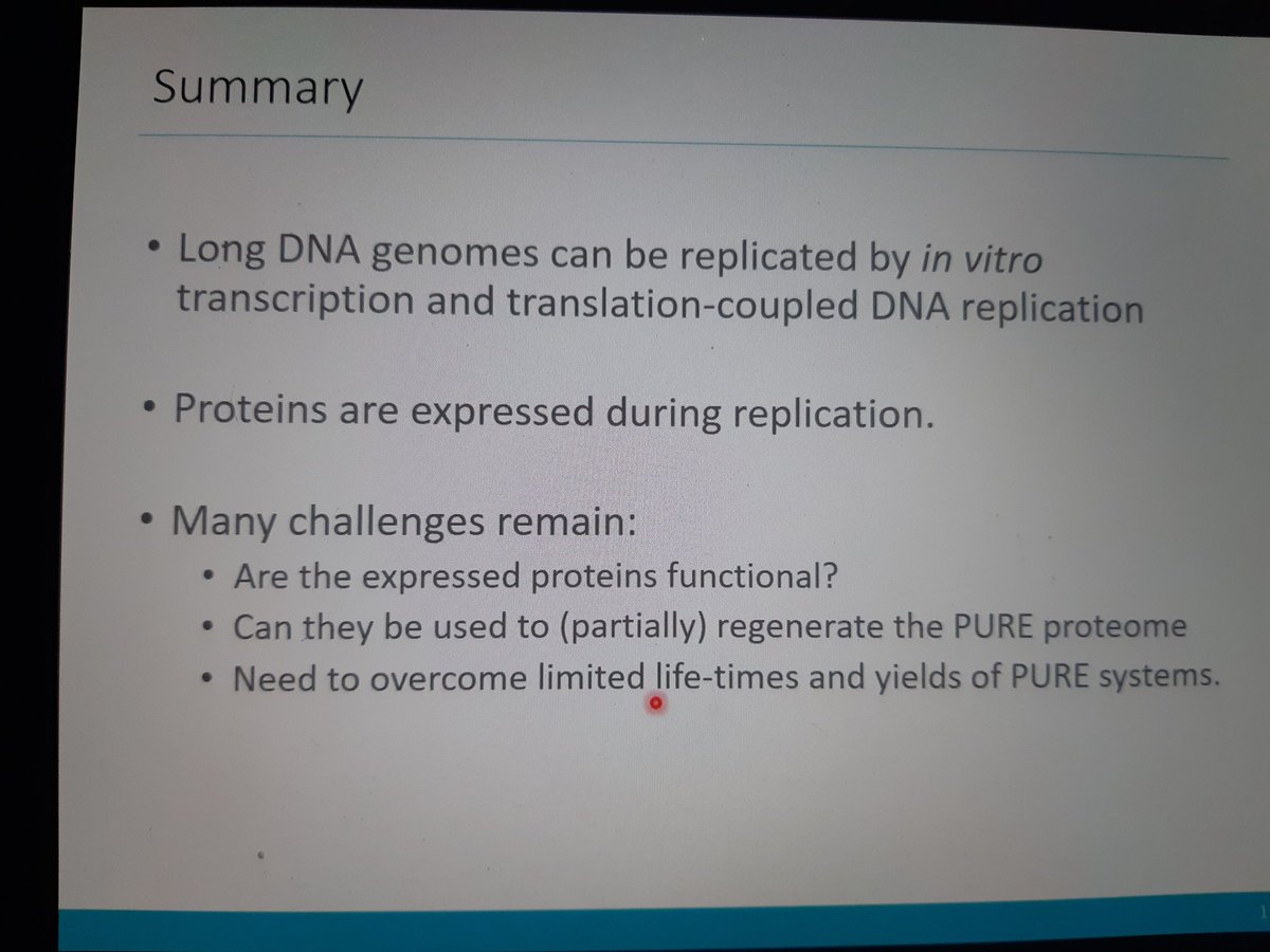 LaanLiedewij's tweet image. More challenges #SyntheticCell