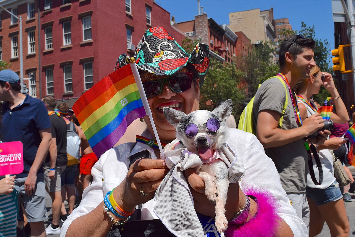 gayNOLA504's tweet photo. #LGBThistory On the last day of #PrideMonth we want to reflect on and celebrate the lgbt community's resilience. #Pride is year round! Always be proud and celebrate who you are and who you love! 

Keep following for more #lgbt history. #LoveIsLove #LoveWins #gayNOLA #NoH8 #love https://t.co/kPMicGNEJ8