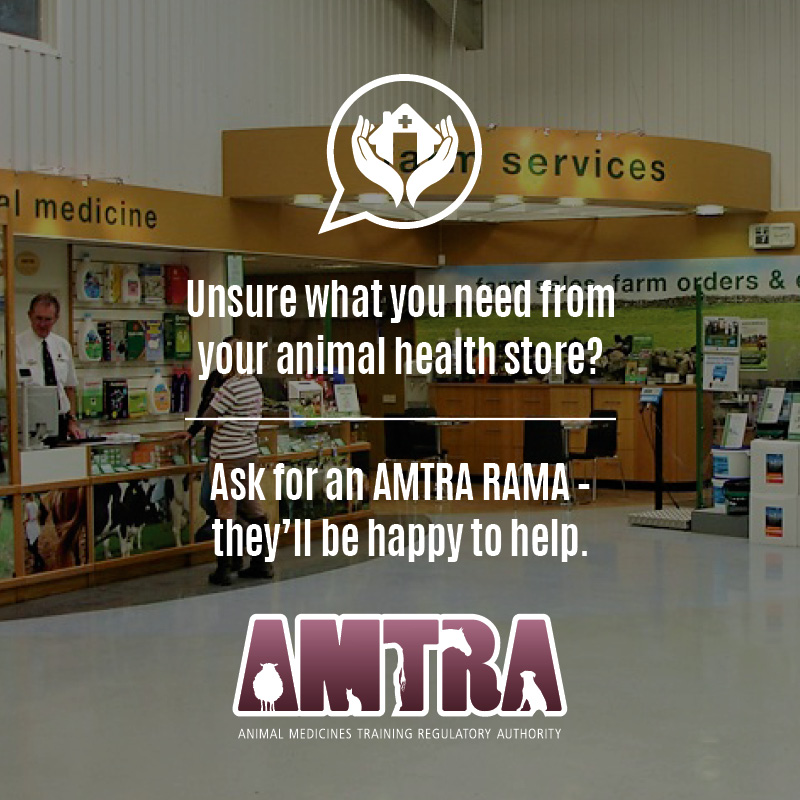 AMTRA_SQP's tweet photo. AMTRA RAMAs work in a variety of work environments, including veterinary practices, agricultural and equine businesses and pet shops.
Remember to ask to speak to your Registered Animal Medicines Advisor (RAMA) for advice on animal medicines.
#AMTRA_RAMA #AnimalMedicines https://t.co/AALLiX5bFd