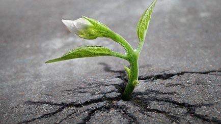 UsuiReikiAcad's tweet photo. A Heartfelt Message To You - Moving Forward - https://t.co/BctikdFNsh https://t.co/kEm1FEIvPV