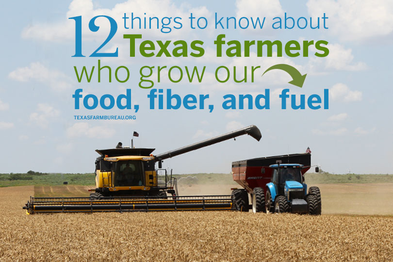 TexasFarmBureau's tweet photo. ✳️Many Texas farmers have a college education
✳️Mother Nature is a farmer’s business partner
✳️The global economy impacts Texas farms and ranches
Read more about Texas farmers and ranchers are on #TxTableTop: https://t.co/gesF6LUWNk https://t.co/kz6QH1NrNY