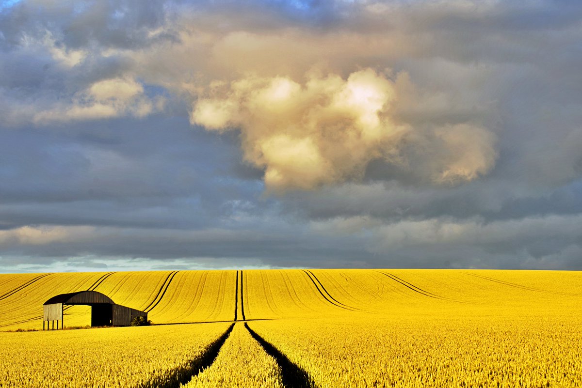 Not to everyone's liking but I'm loving the clouds over Dorset. #landscapephotography #ukphotographer #uk_photooftheday  #uk_greatshots @lovefordorset @BBCDorset @visit_dorset @Dorsetecho @DorsetMag @dorsetlandscape #picoftheday @AP_Magazine #sonya7iii