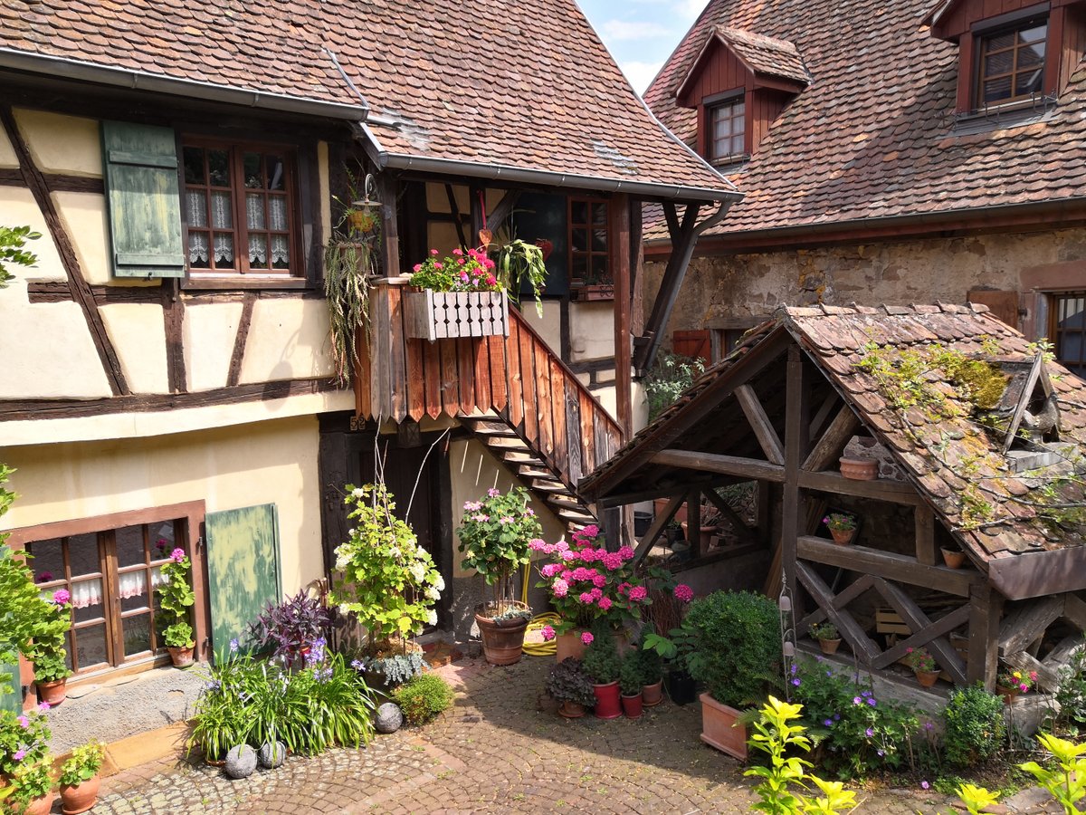 P2 - L' #Alsace et ses villages qui donnent l'impression d'avoir été strictement conçu pour entrer sur une carte postale !
Ici #Gueberschwihr (que je sais écrire du premier coup, signe que je suis dans le coin depuis trop longtemps)
#BattlePhoto #EnFranceAussi