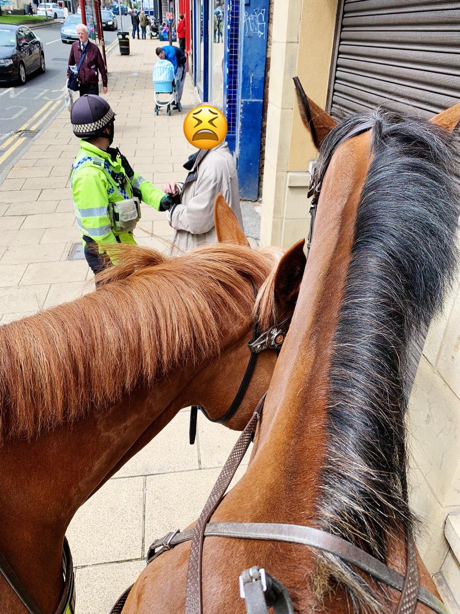 Ph Coley and Ph Ledston have been on patrol in Bradford today. One male arrested wanted on a warrant issued in 2017 #nowheretohide #mountedpolice