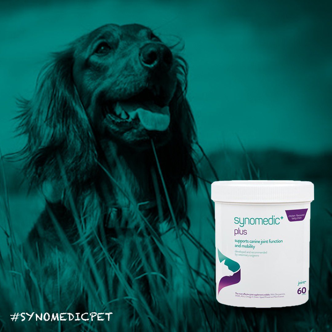 Supporting growing joints, aiding development and mobility 🐶 #EQ #SynomedicPlus #EQMedic #Dog #Pet