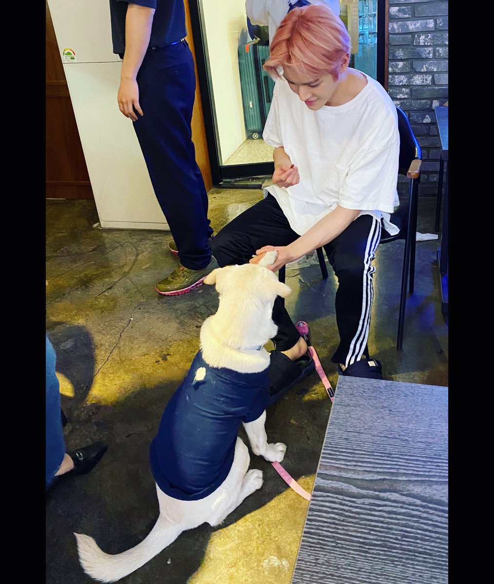 stacynam's tweet photo. Happy birthday to Lucky’s favorite Hyung~💕 #HappyTaeyongDay #OurRoseTaeyongDay #헤어질_염려가_없는_태용날 

https://t.co/i0ZKA5RRlQ https://t.co/nRKg30p5VO