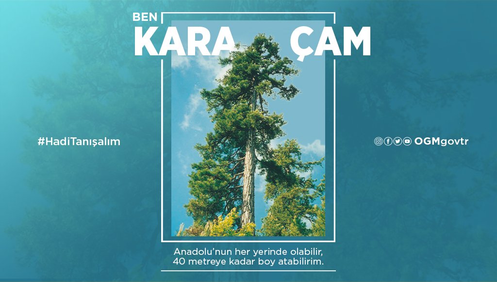 Orman Genel Müdürlüğü tweet media