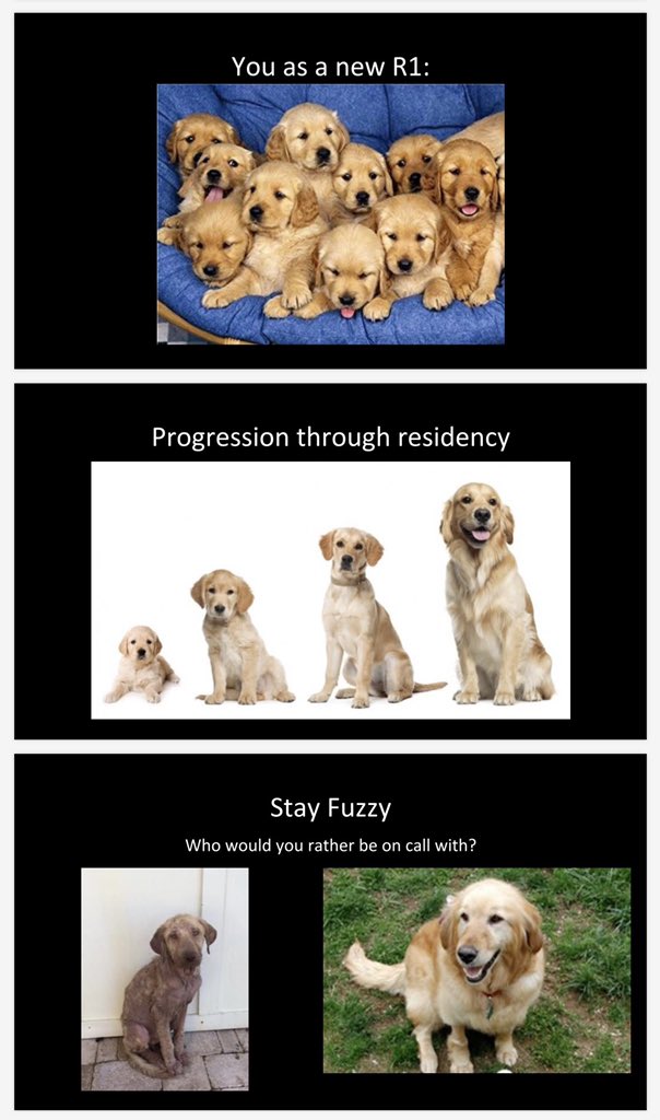 New R1 starting #Radiology? JMC intro:
- Radiology is hard. Everyone feels dumb sometimes, it’s ok!
- See as many cases as you can. It’s all about pattern recognition
- You are now the IT person
- 50% of radiology is knowing something is a thing
- You are good enough
- Stay fuzzy