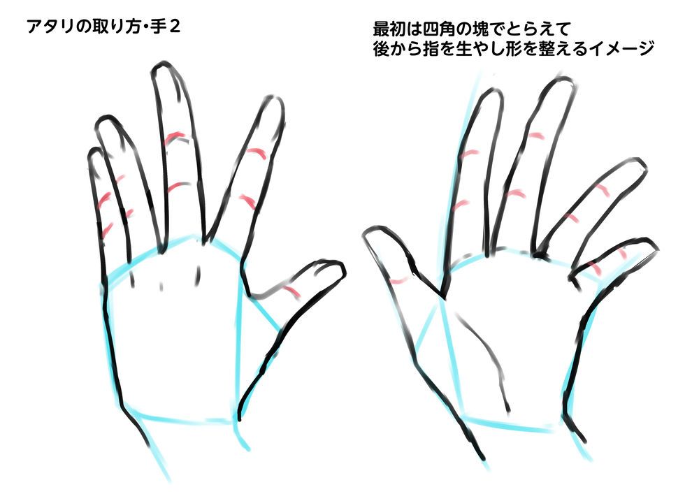 お絵かき講座パルミー 手のアタリのコツ 指を描くときには関節を意識するとよりらしくなります W ｶﾝｻﾂ T Co Bnlym2qo7n