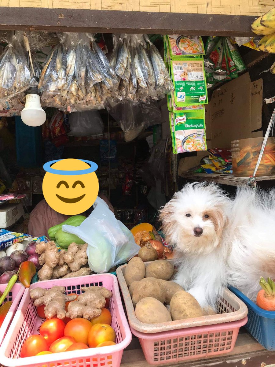 dogsnibian's tweet photo. Bili na mga suki #Shellynatics https://t.co/LNb74d3XMy