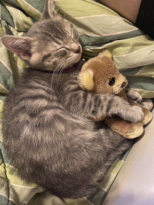 Best friends https://t.co/BaTBfJG6VE