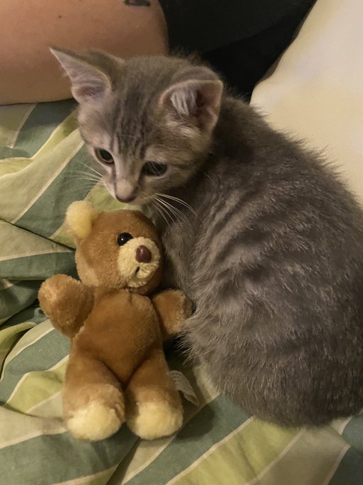 Best friends https://t.co/BaTBfJG6VE