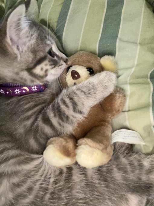 Best friends https://t.co/BaTBfJG6VE