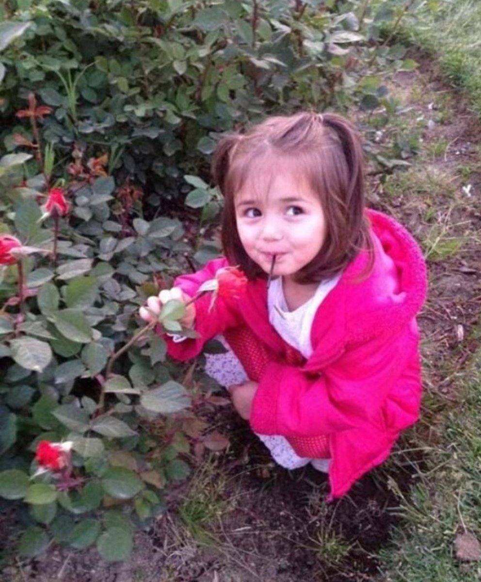 Nasıl bu kadar kötü olabiliyorsunuz? Ailesinin öpmeye kıyamadığı daha küçücük çocuğu öldürürken hiç mi vicdanınız sızlamıyor? çekin artık masumlardan kanlı ellerinizi, lanet olsun içinizde barınan o kötülüğe!  #ikranur