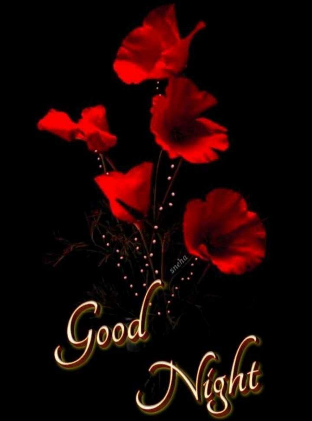 Sapna on Twitter: