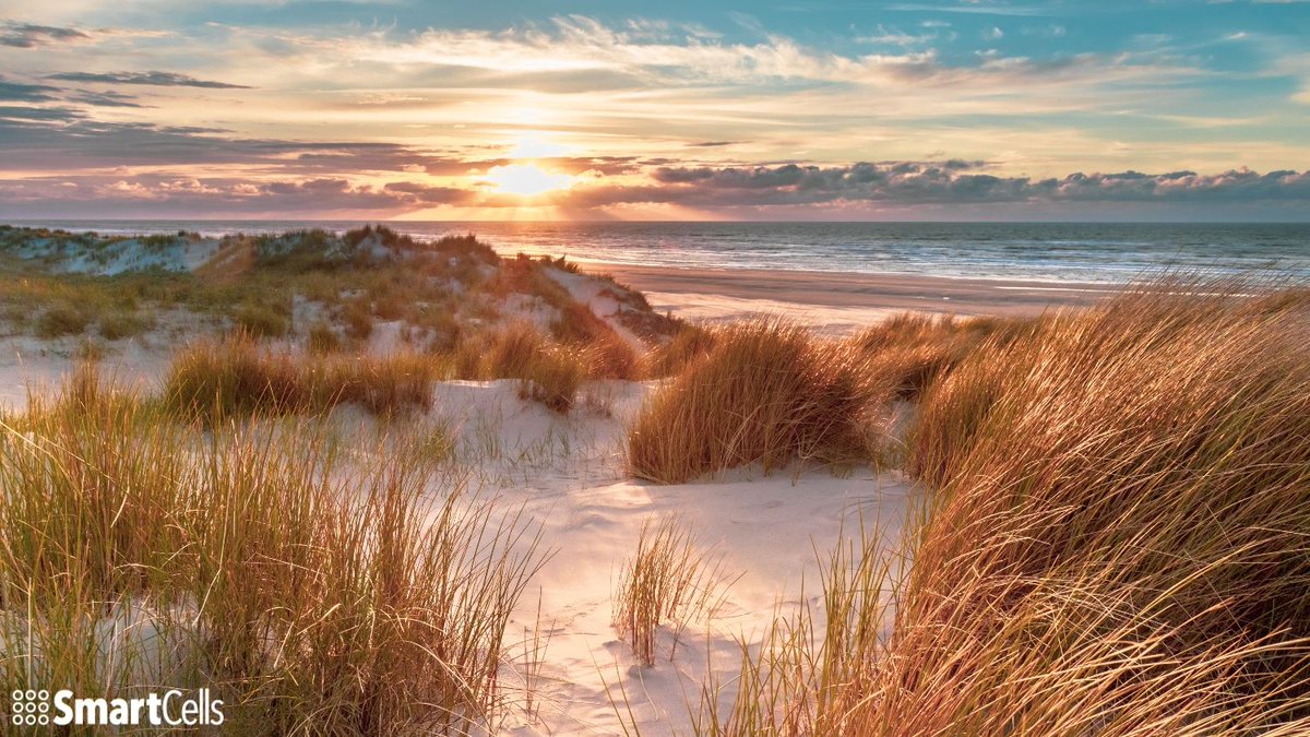 Summer is upon us. And that means more beach days. Do you know what beach days and anti-fatigue mats have in common? Click here to find out ---> buff.ly/3eIbiUK