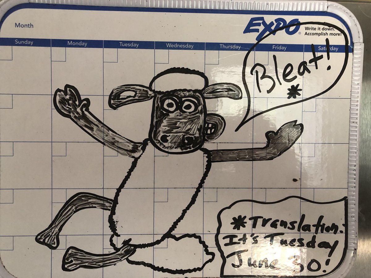 AlohaKugs's tweet photo. Today’s #RealityBoard featuring #ShauntheSheep @shaunthesheep @aardman #whatdayisit #tuesdaythoughts #writingcommunity #bartender #mountvernonmixology #coronavirus #socialdistancing #staysafe https://t.co/OMOu8KAKdA