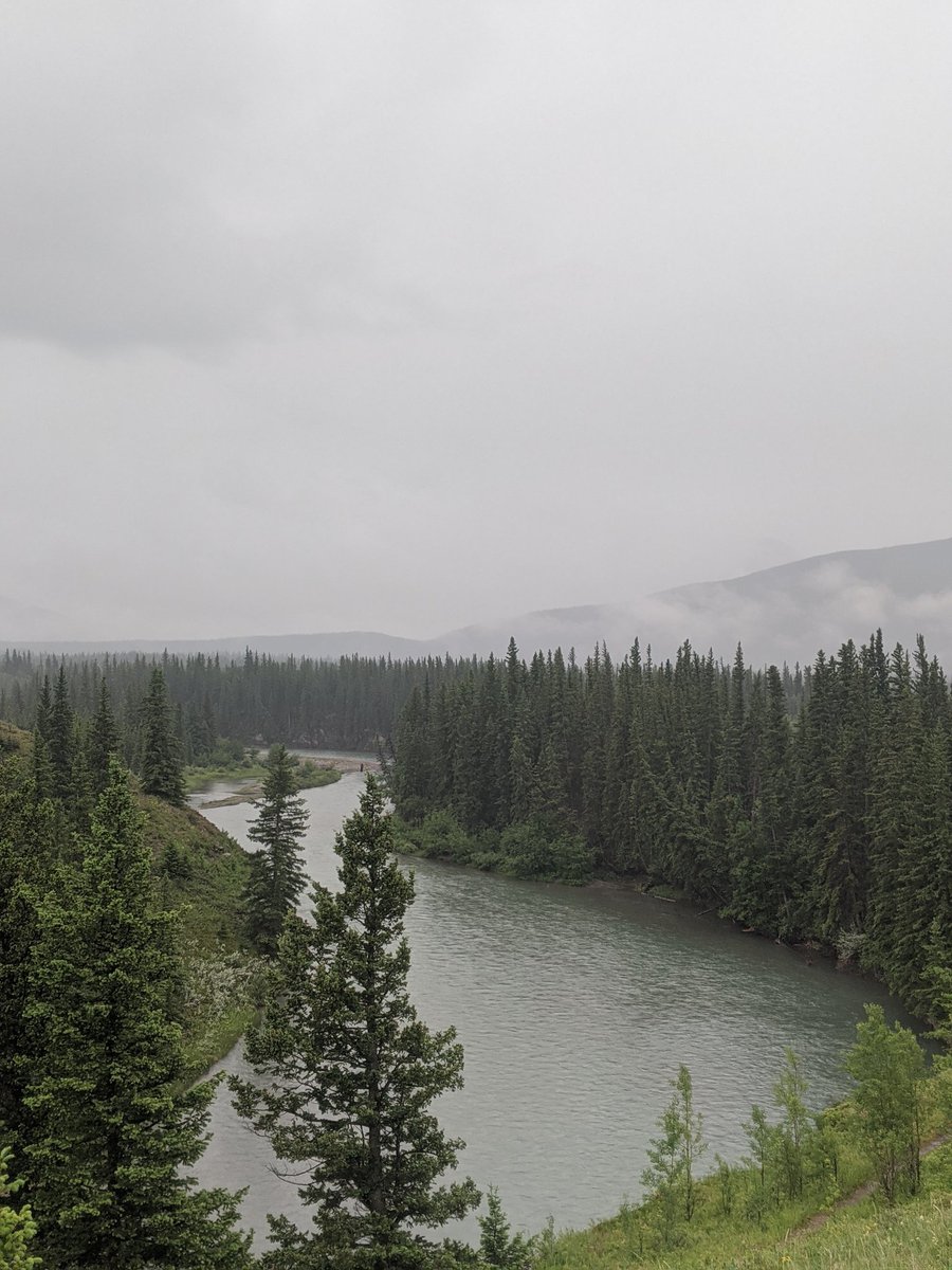 So as part of trying to better my mental health, I'm working on being more physically active. Today was my first hike - a short 2.5k loop by the Kananaskis River in the rain to see what I can do. Was pretty nice!