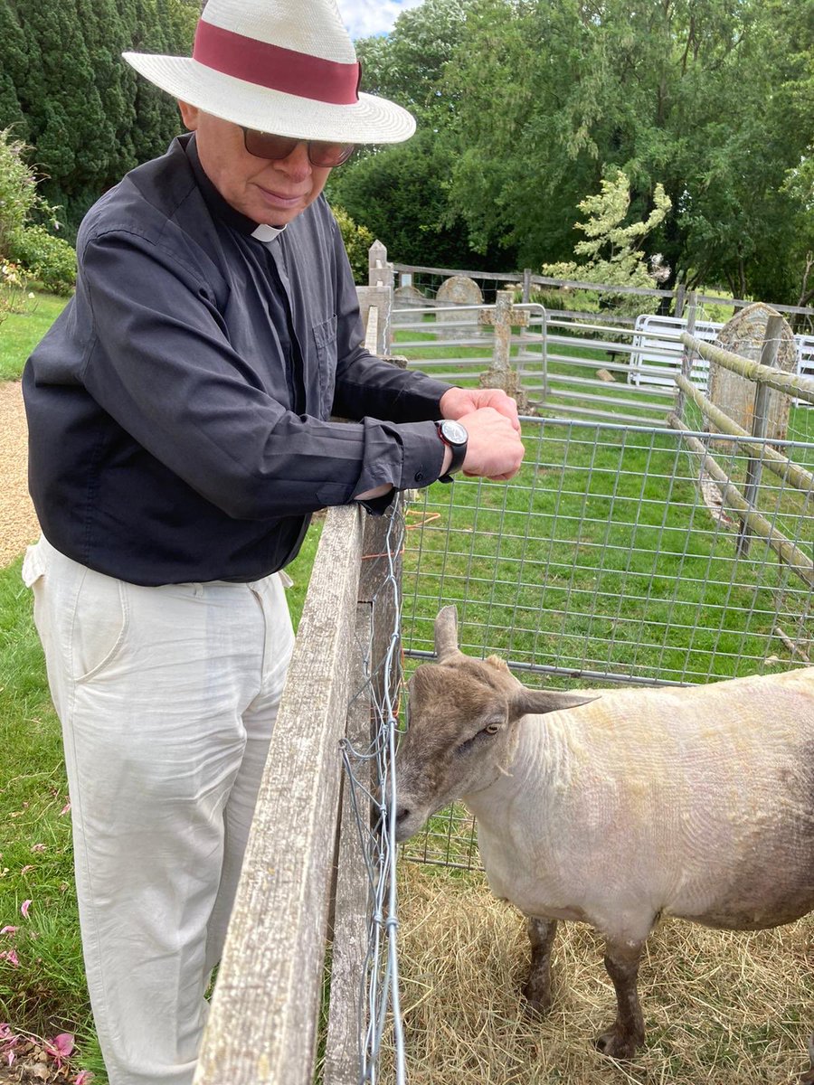 CastorChurch's tweet image. So whilst we humans have to wait a little longer for the salons and hairdressers, our churchyard flock are looking very smart with their summer trims.  🐑🐑🐑🐑