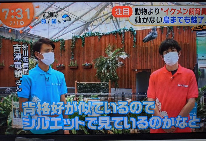 めざましテレビ 桂浜水族館 イケメン飼育員特集に違和感を覚える人続出 おばちゃんが待ち伏せしてて怖い みんなの反応まとめ まとめダネ めざましテレビ 桂浜水族館 イケメン飼育員特集に違和感を覚える人続出 おばちゃんが待ち伏せしてて怖い みんなの反応まとめ まとめダネ