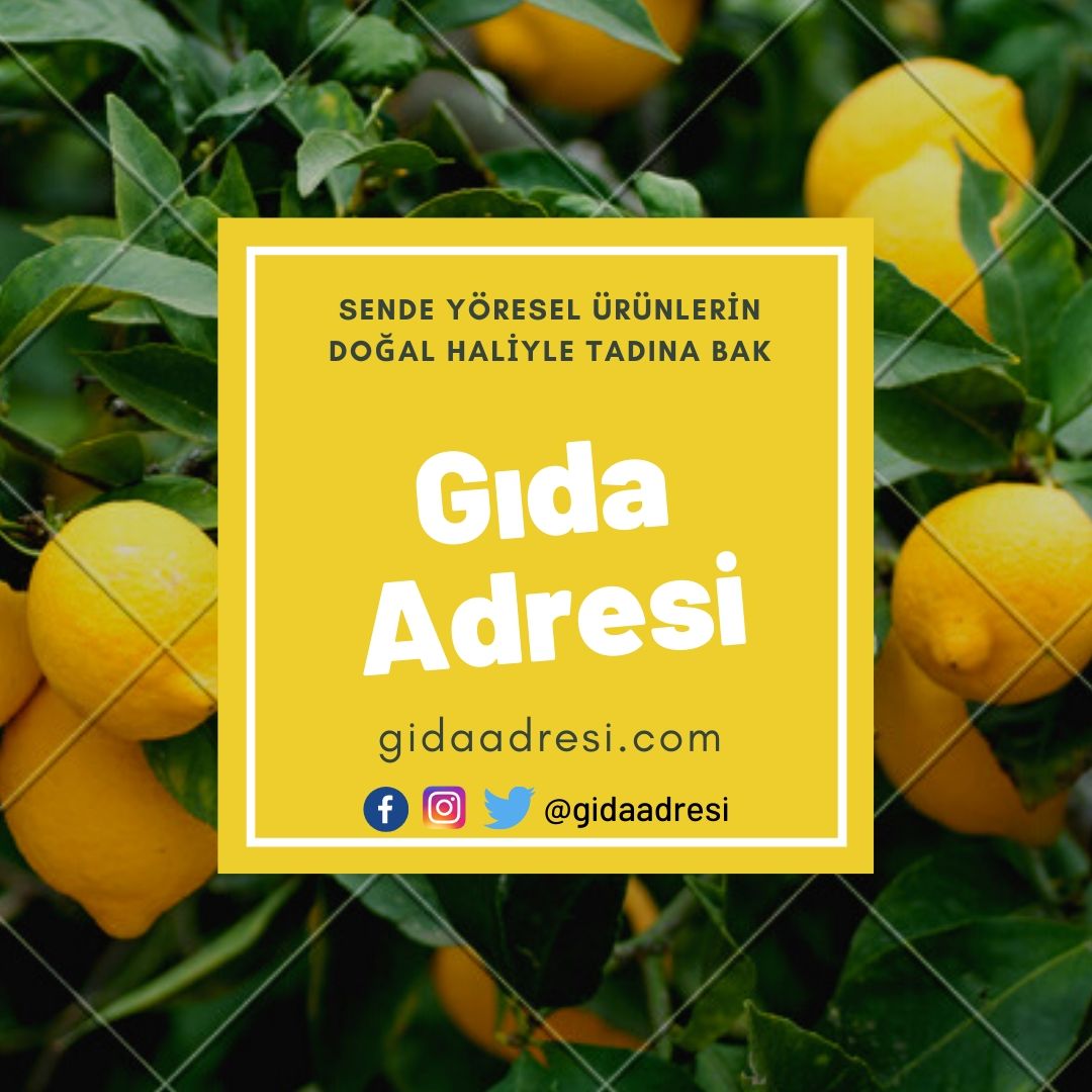 Doğal ve Organik gıdaları kendi yörelerinden satın al. Kapıda ödeme seçeneği ile gidaadresi.com'da.
200 TL ve üzeri kargo ücretsizdir.
---------------------------------------
#gıda #doğalgıda #organikgıda #kaşar #bal #karskaşarı #karsbalı #doğalbal #karskazı #göbekkaşar