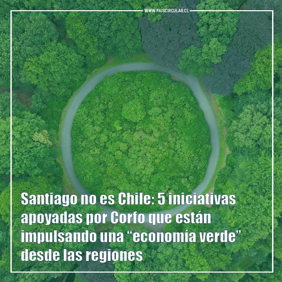 PaisCircular's tweet photo. Desde regiones se generan una serie de iniciativas que están dando solución a problemas ambientales y sociales.

Lee la nota completa en https://t.co/Y0LvNJRRgg ♻️ 

@Corfo @Bioxiplas @ChileEcofibra  @GreenSpot_Upcl @recybatt https://t.co/rmMpNw2toO