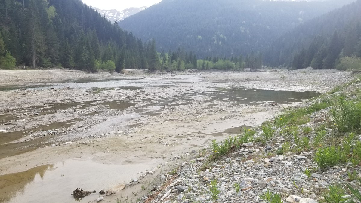 Peka_IP's tweet photo. @JetaXharra @AustriainKosovo @ViolavonCramon Anybody who thinks we'll stop defending our land, especially when #Kelkos leaves our river like open grave, is out of touch with reality. We owe it to those who gave their lives for this land.Kelkos' threats to our democracy & environment are real and irreversable @MFA_Austria https://t.co/MSGTVpmo31
