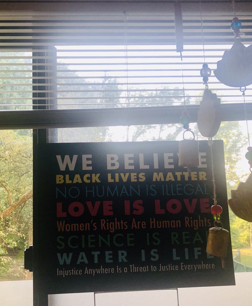 Thanks to my neighbors, who gave me this poster for me to display on my window.  Although there’s a lot of nature outside, ppl and other neighbors will se what we stand for.  #BlackLivesMatter #ScienceMatters #JusticeAndEquity