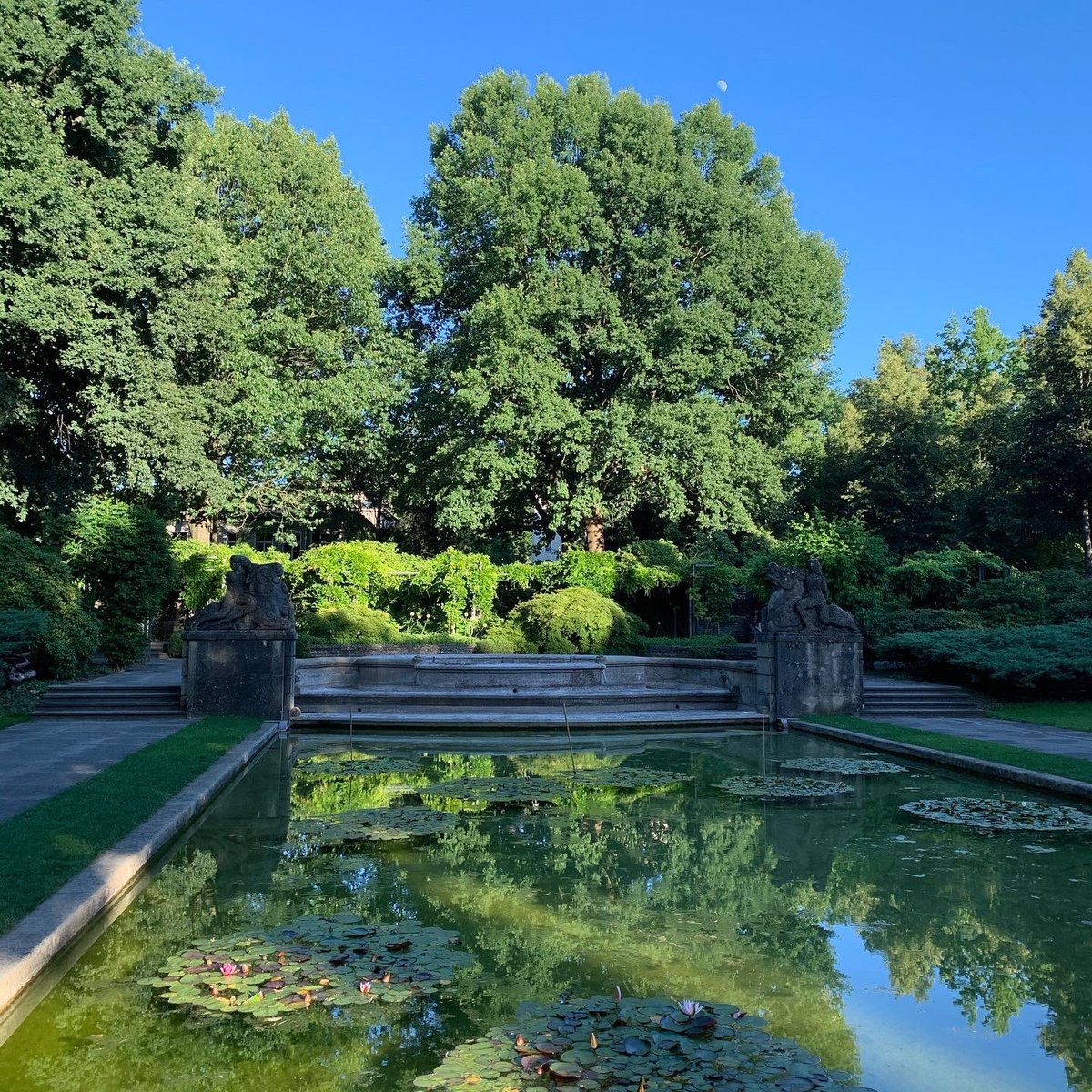 Open Mind Institute tweet media