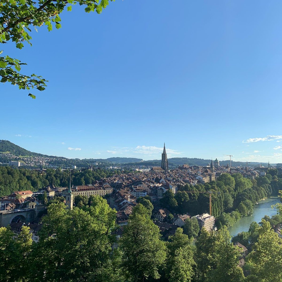 Open Mind Institute tweet media