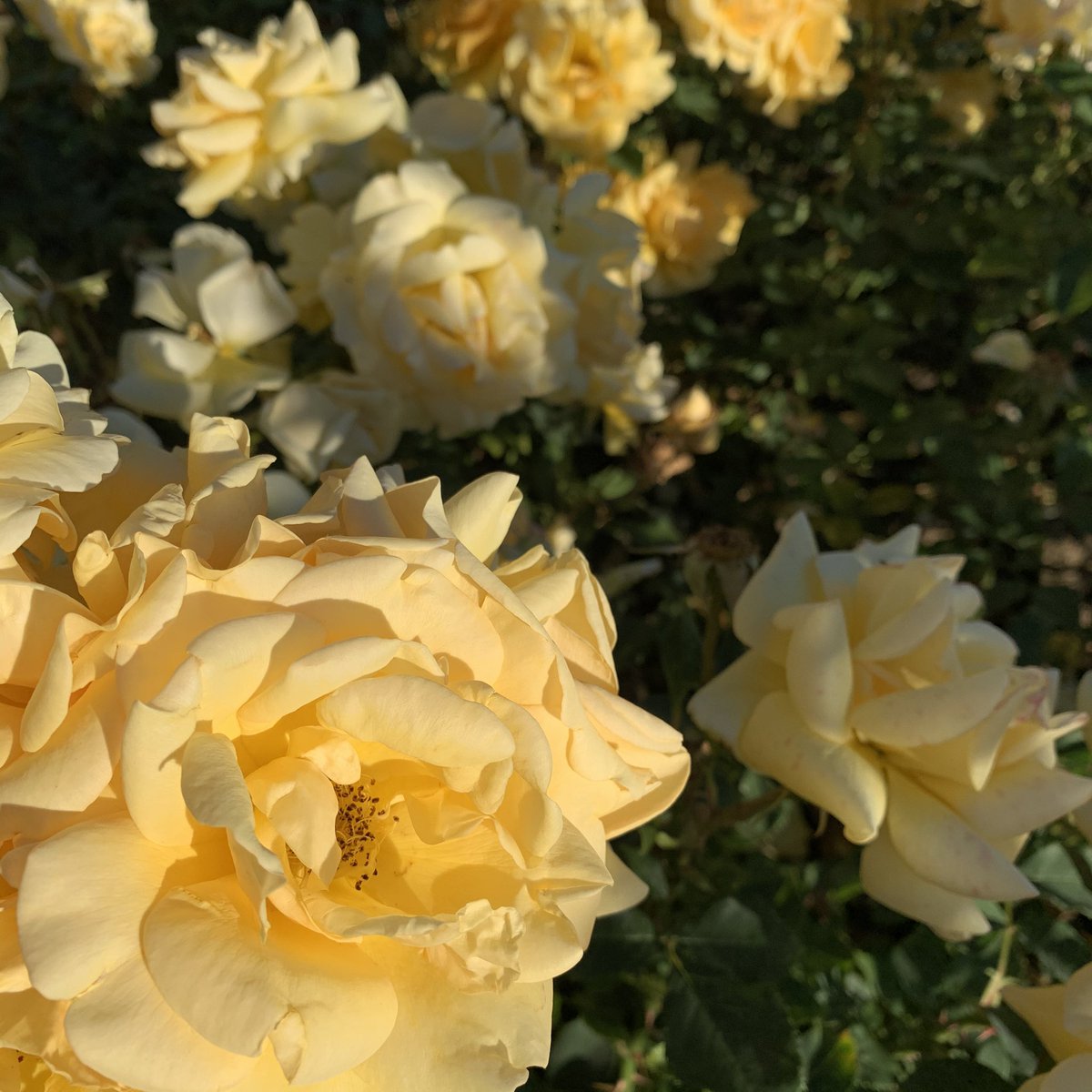 Open Mind Institute tweet media